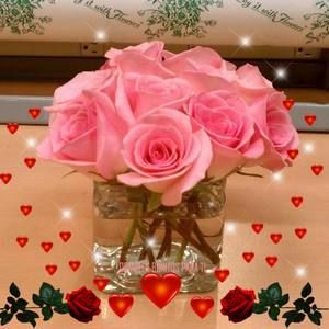 Meet your Posher, Sandra